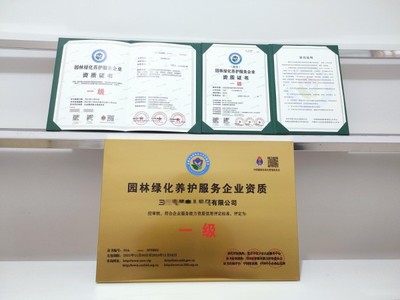 上海市專業工商注冊與財稅服務全攻略