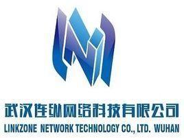 武漢連縱網(wǎng)絡(luò)科技 深耕技術(shù)，連接未來